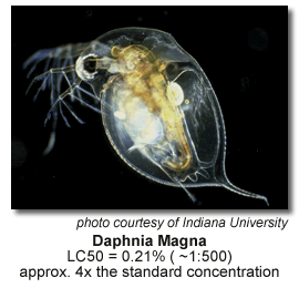 Sealing Lakes and Ponds with Fish